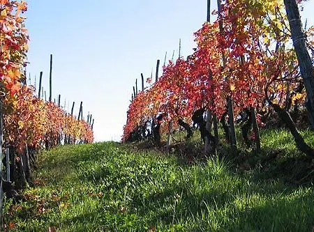 Cascina Rocca - Hotel