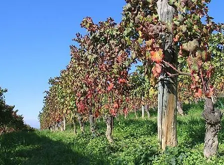 Cascina Rocca - Hotel